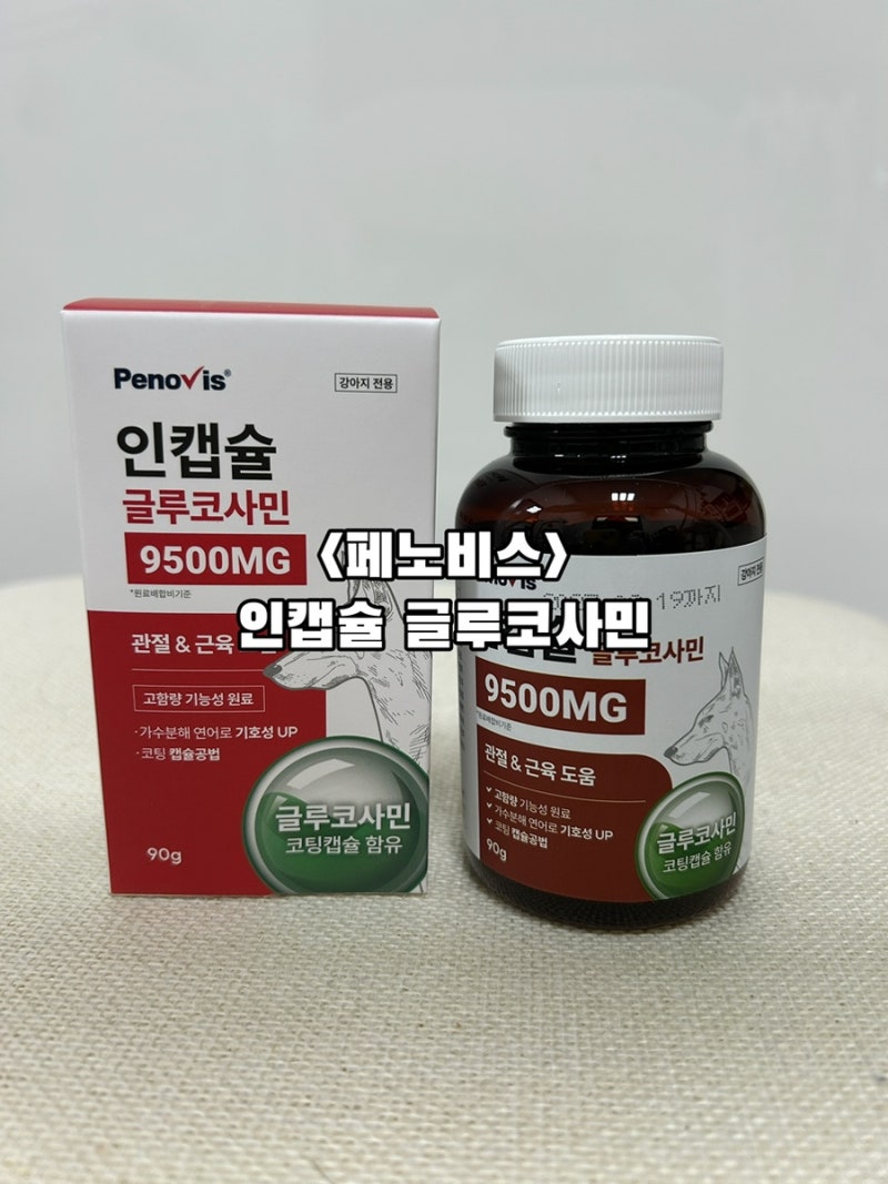인캡슐 글루코사민 노견관절관리 강아지관절영양제 추천 ෆෆ