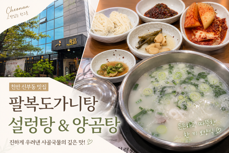 팔복도가니탕 천안점 사진 1