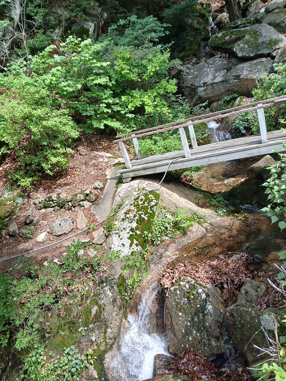 작성산 사진 4
