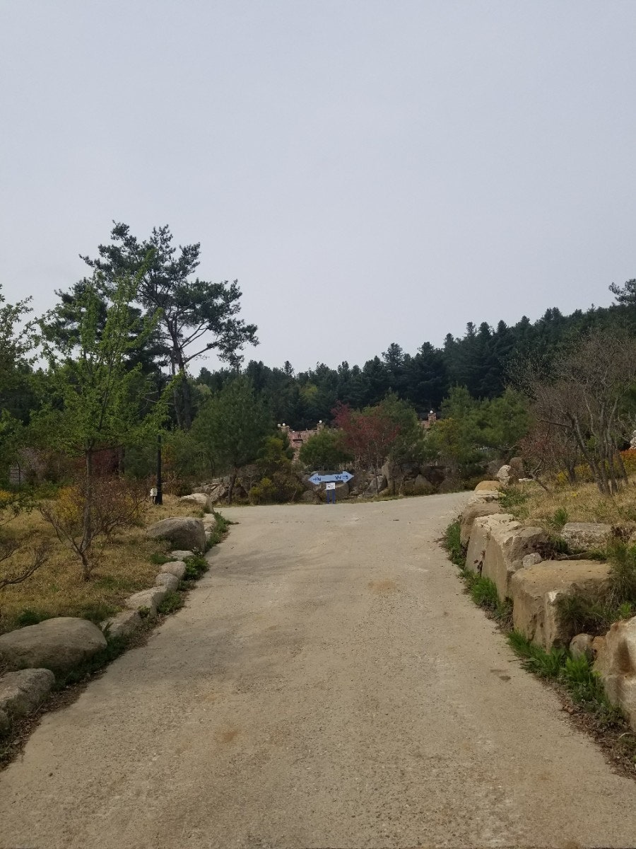 평창보타닉가든 사진 6