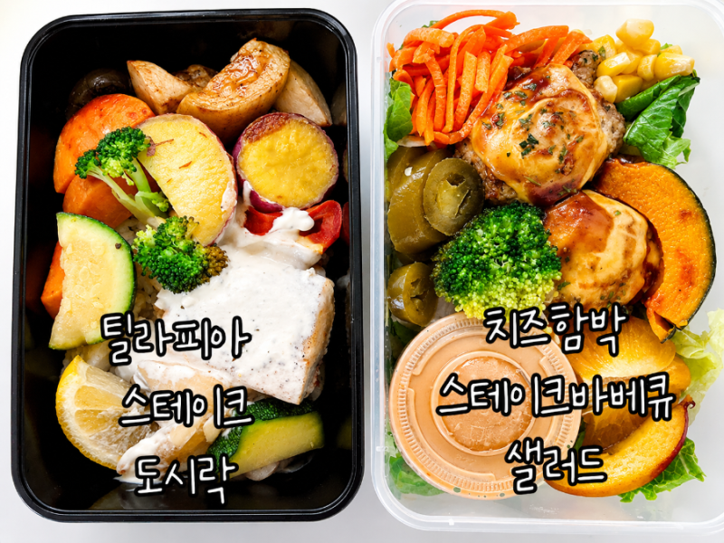 먹어보고 나서야 왜 샐러드 정기구독 하는지 알았다｜슬로밀 샐러드 정기구독·단백질도시....