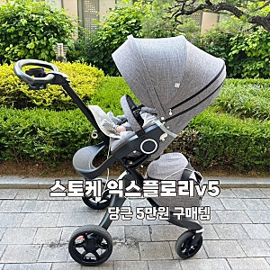 신생아유모차 스토케익스플로리 당근 득템 솔직후기