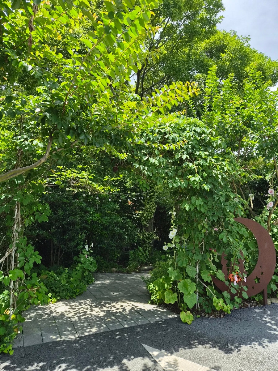 오류제 사진 3