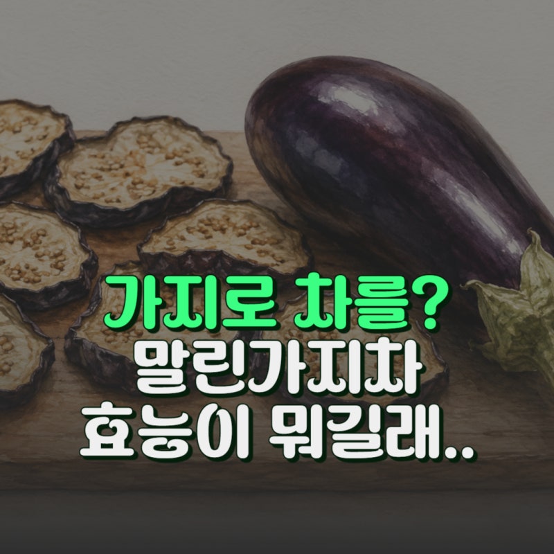 말린가지차 효능 7가지 혈당과 부작용 차로 먹는방법 알고 드세요