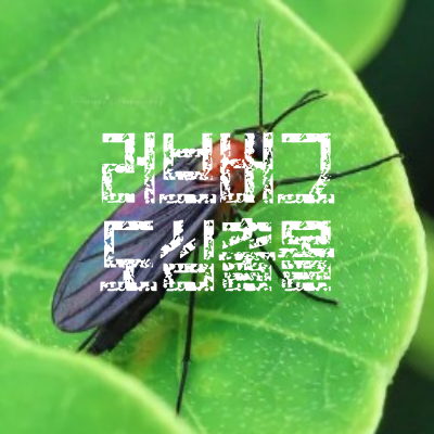 국민밥상 사진 1