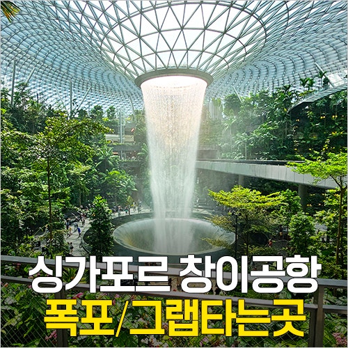 싱가포르 창이공항 입국절차 총정리 쥬얼창이 폭포 ATM 위치 시간 스카이트레인 그랩존 타는....