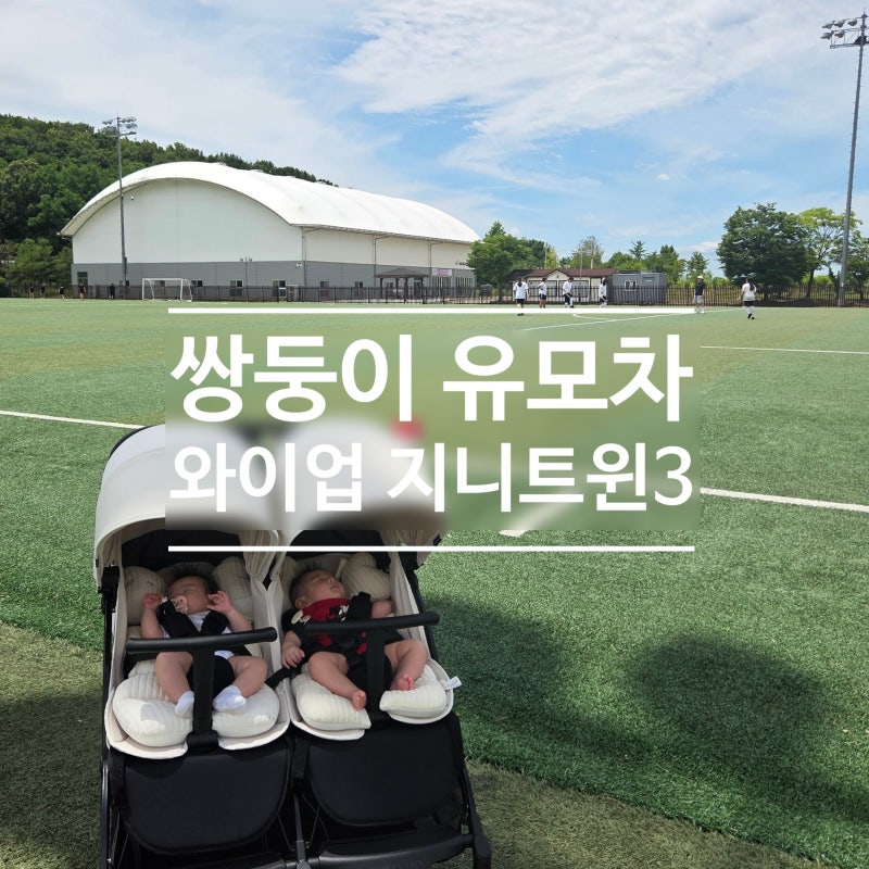 쌍둥이 유모차 와이업 지니트윈3 사용 후기