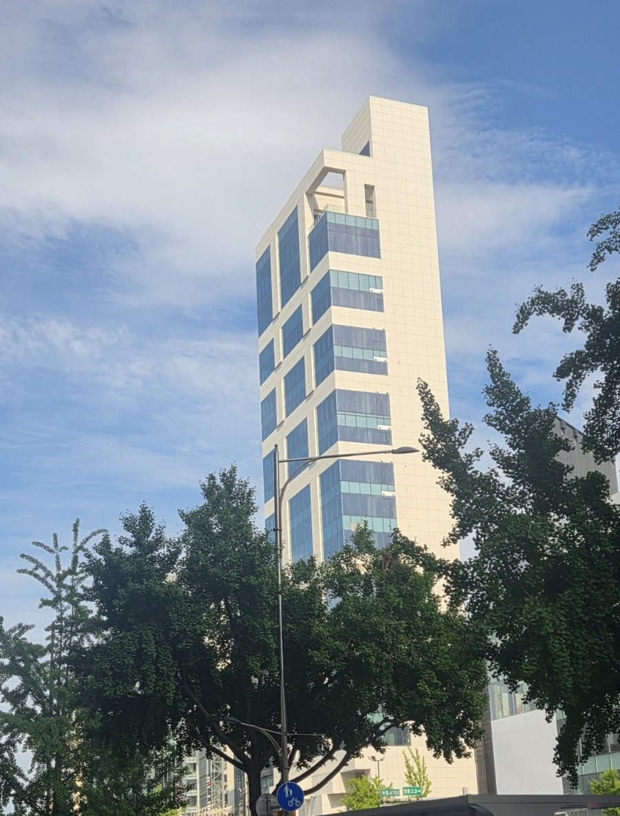 쉐이크쉑 청담점 사진 5