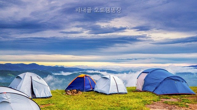 배내골오토캠핑장 사진 2