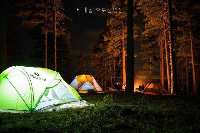 배내골오토캠핑장 사진 4