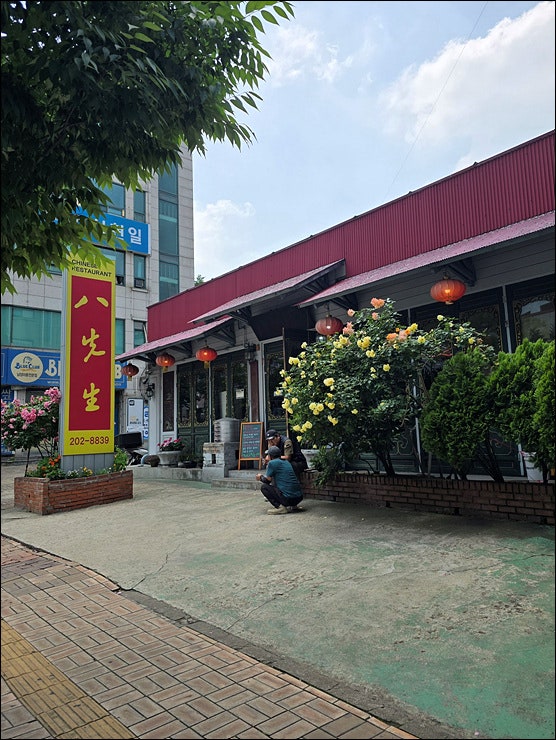 팔선생 사진 2