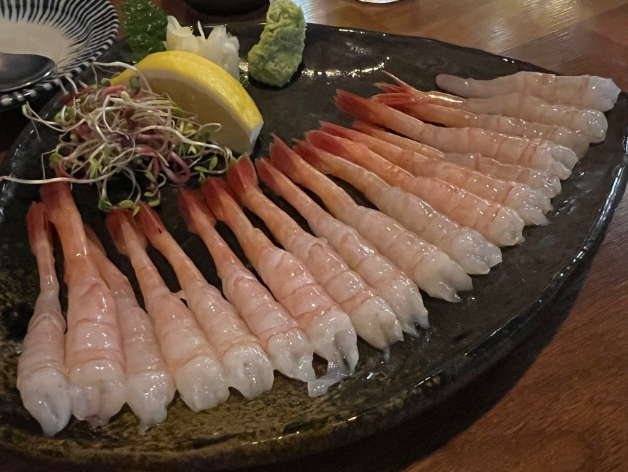구기 사진 6