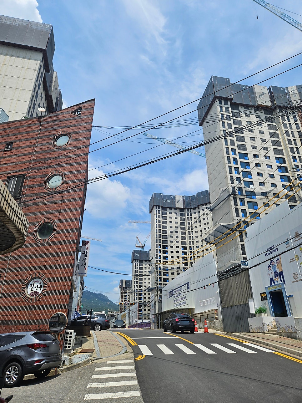 팥선생 사진 1