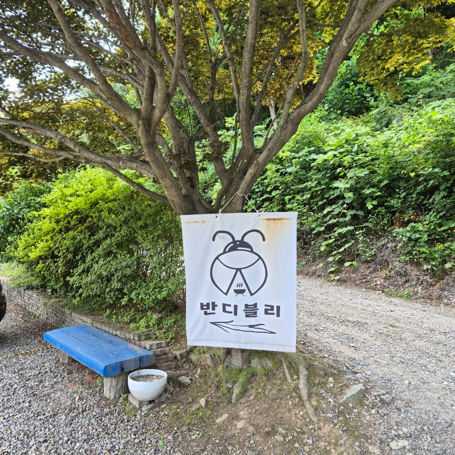 반디블리 사진 3
