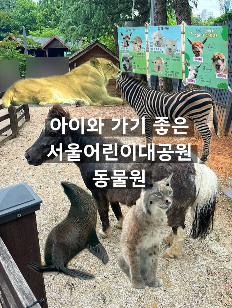 서울 데이트 아이와 가볼 만한 곳 어린이대공원 동물원 피크닉 소풍 장소