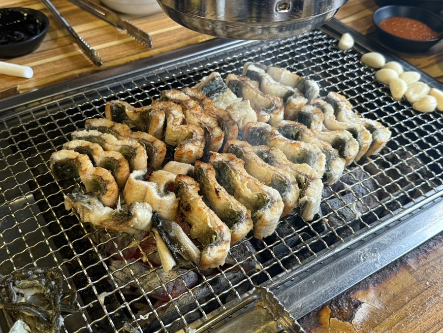 영장어 사진 1
