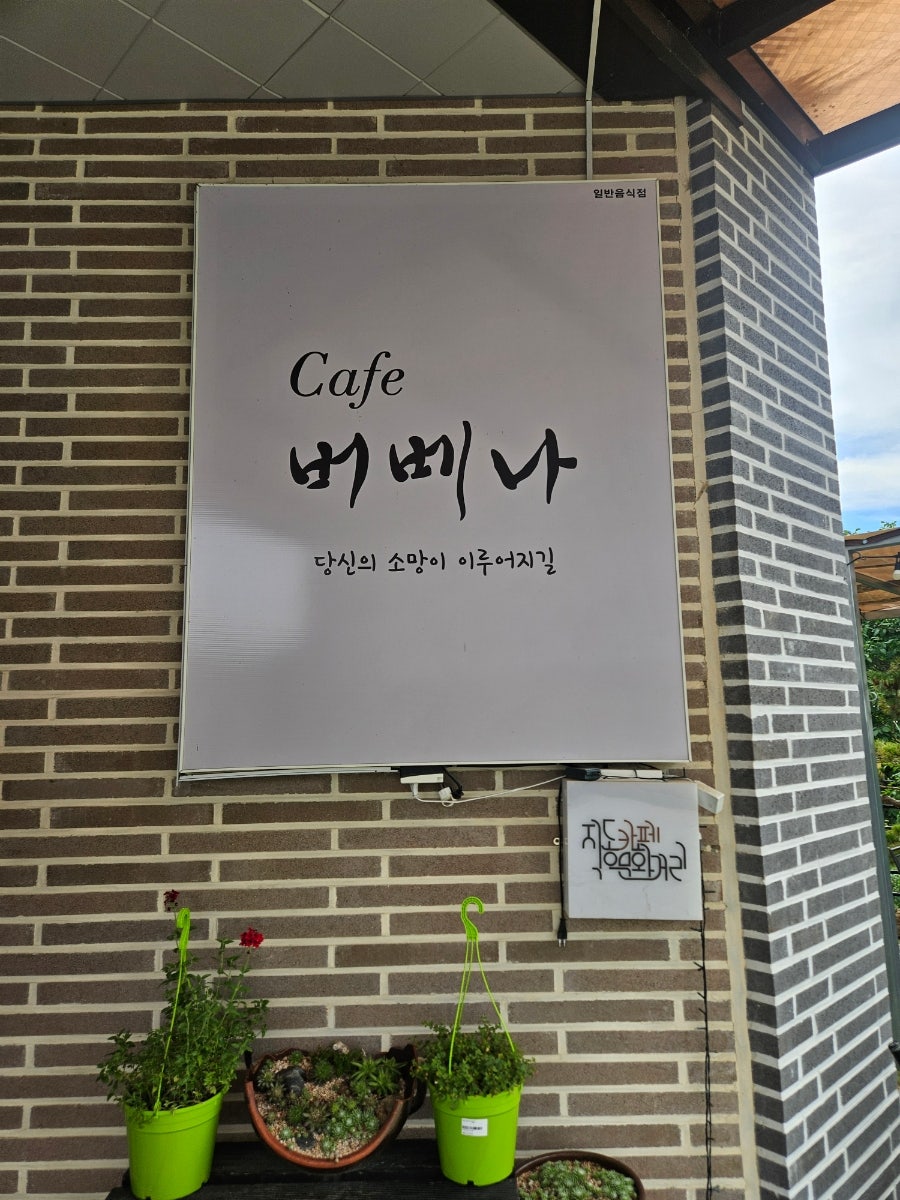 버베나 사진 5