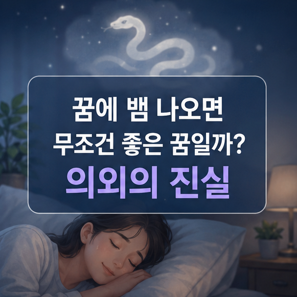 꿈에 뱀 나오면 무조건 좋은 꿈일까? 의외의 진실