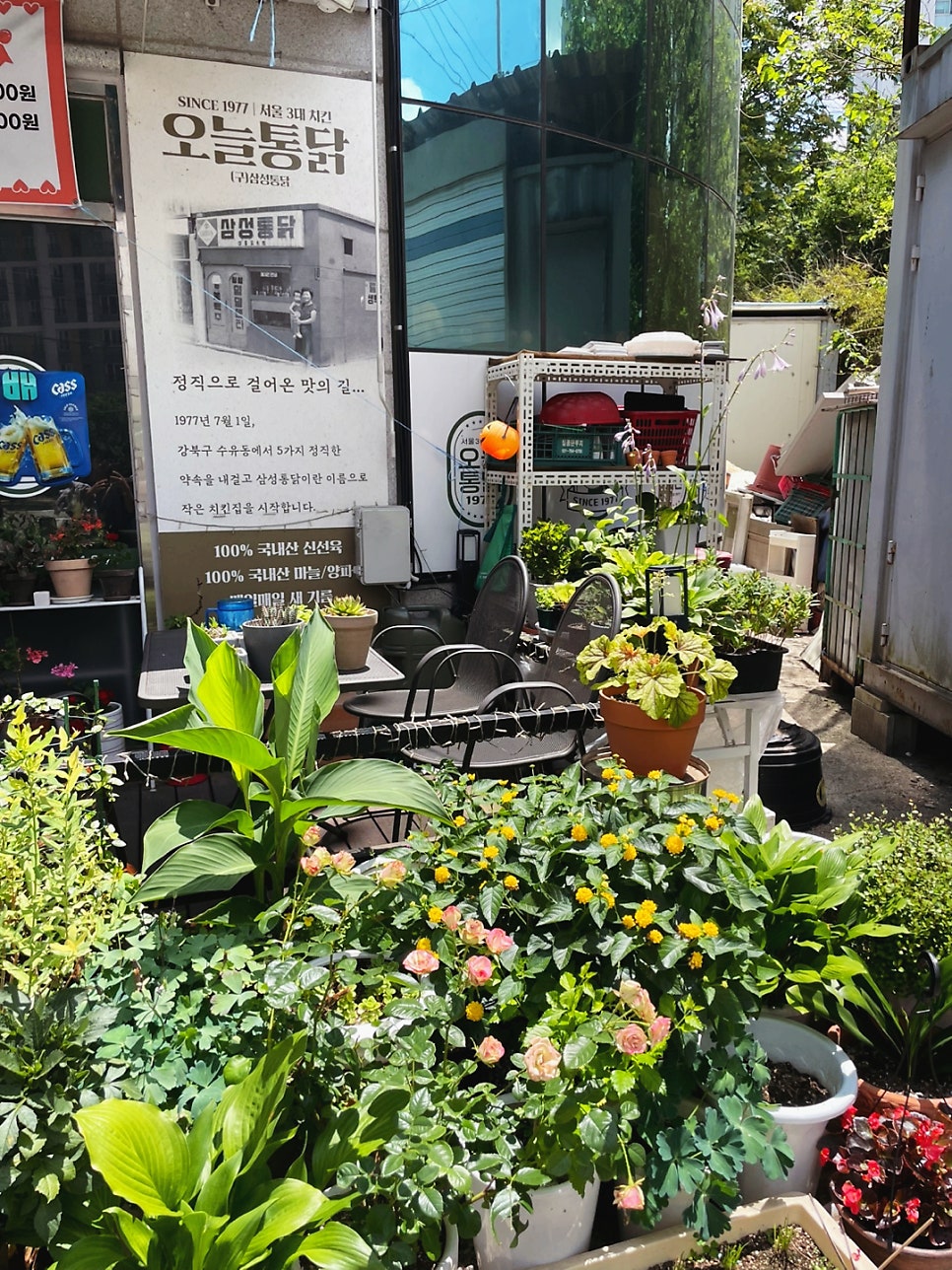 오늘통닭 양벌리점 사진 6