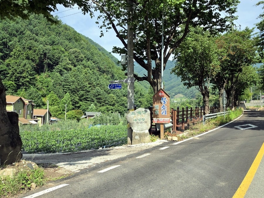 소백산꽃가람야영장 사진 3