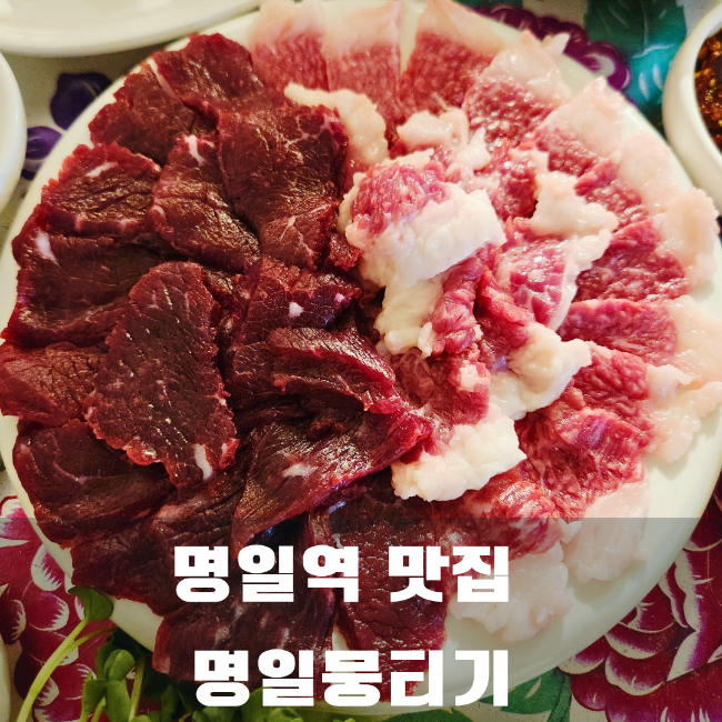 명일뭉티기 사진 1