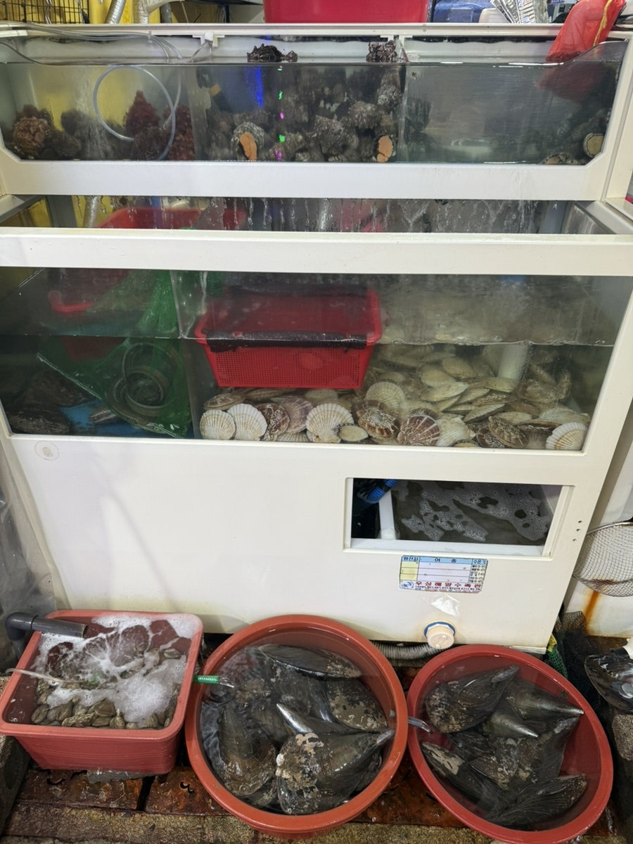 나루터 사진 3