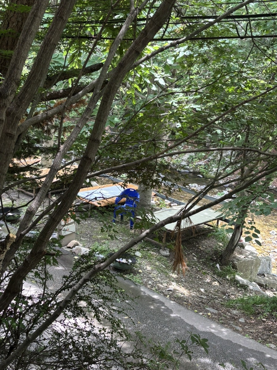 툇골자연화로오리 사진 5