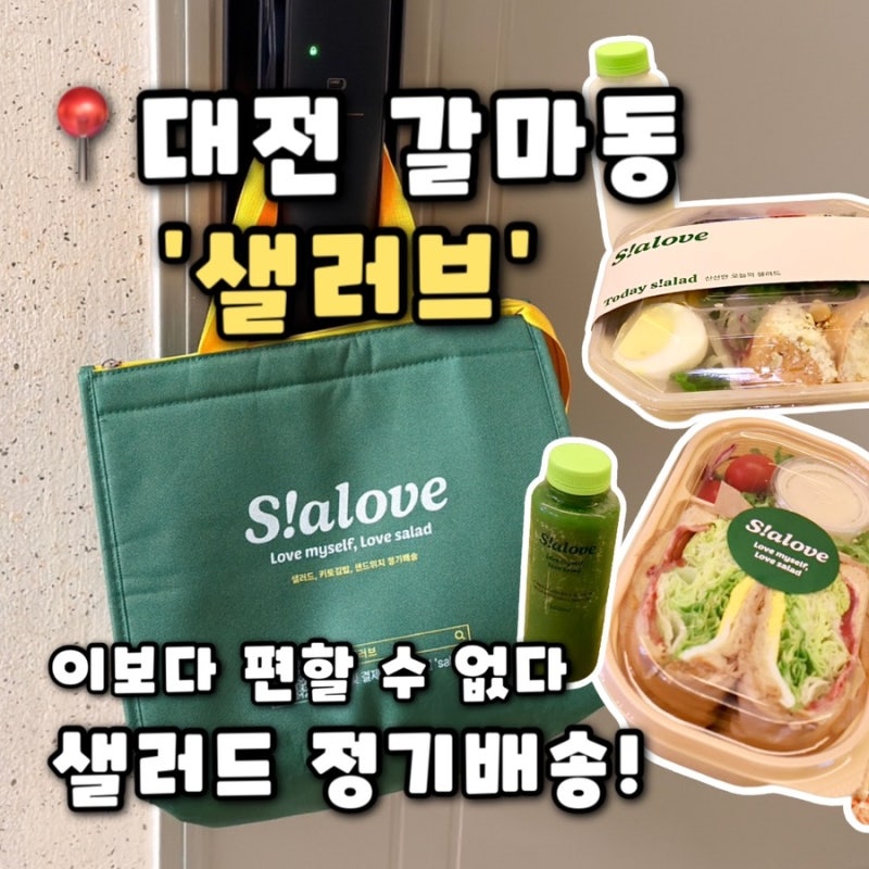 [샐러브] 대전 샐러드 정기배송 대전 다이어트 도시락 추천, 샐러브 후기