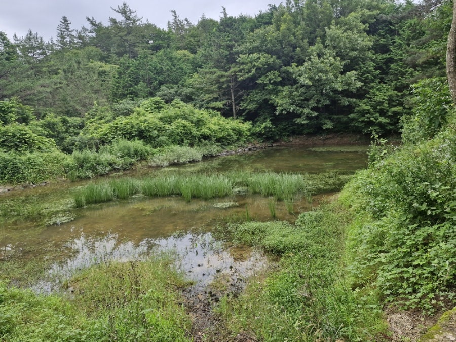 화방산 사진 5