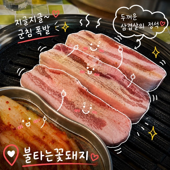 불타는꽃돼지 사진 1