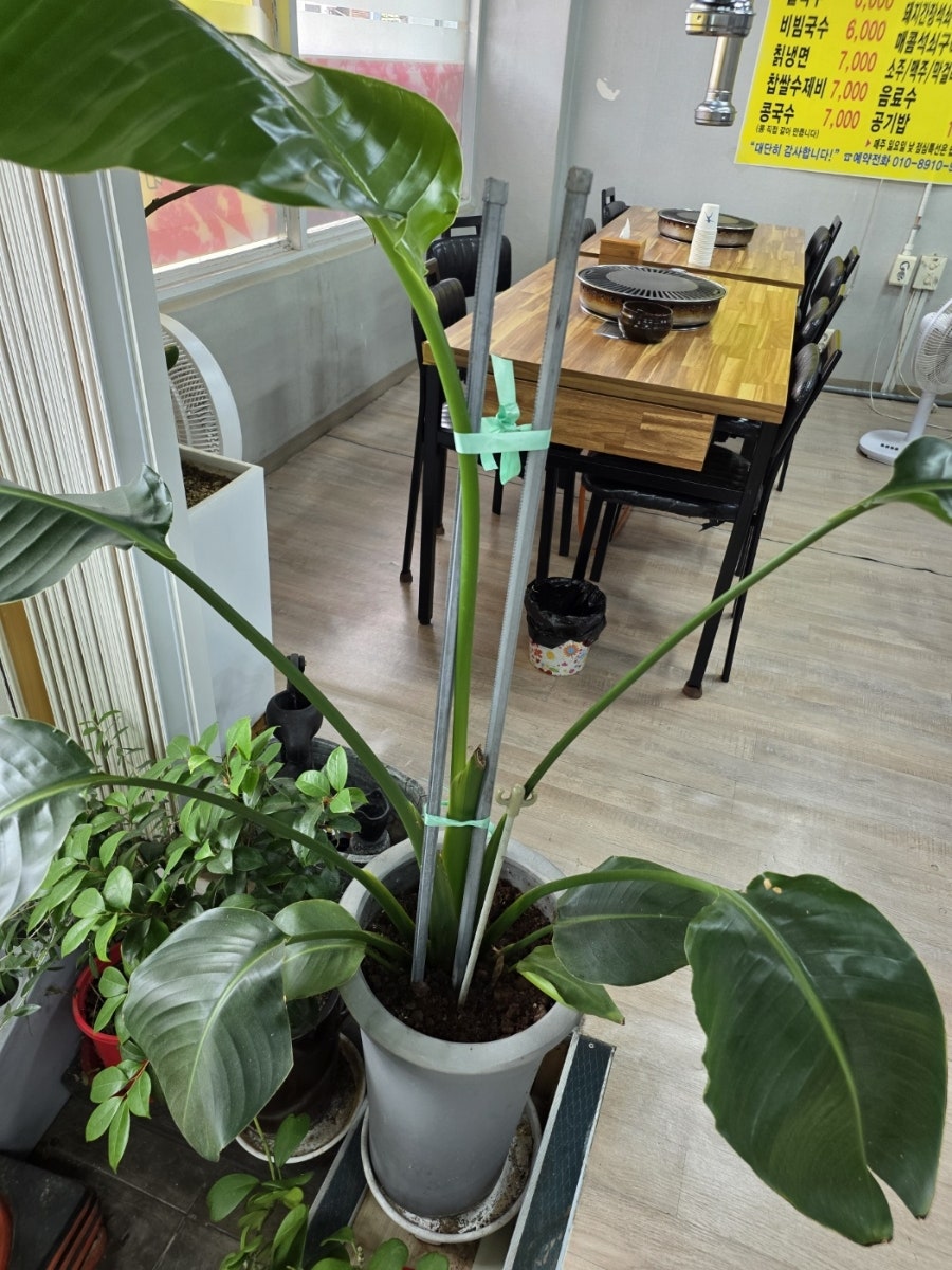 초원삼겹막창 사진 6