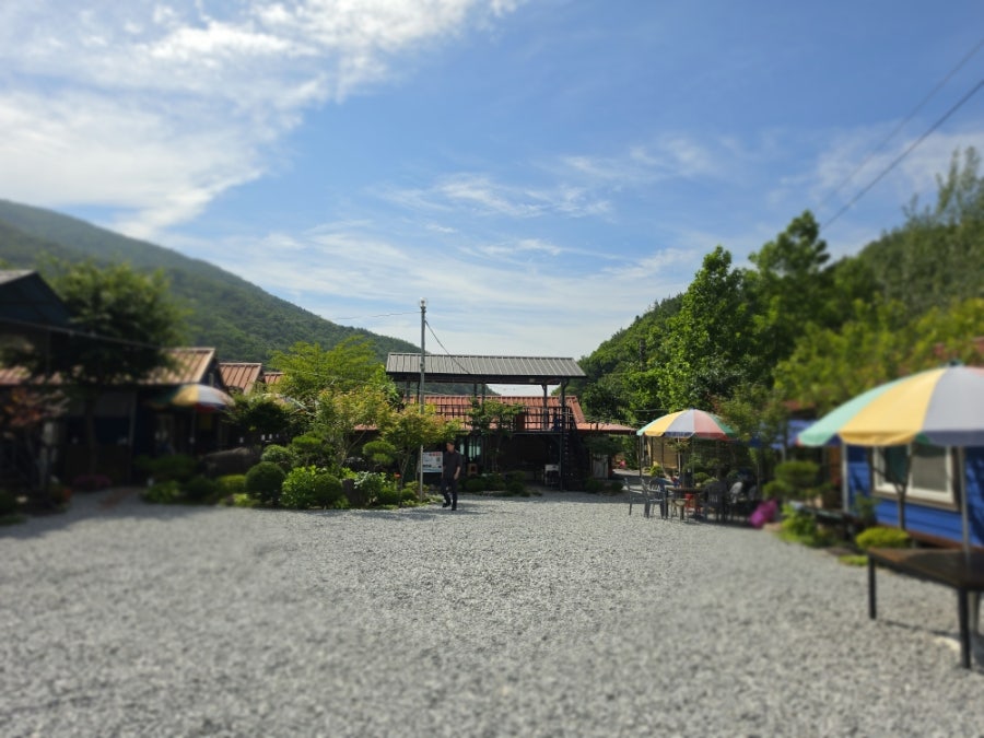 소백산꽃가람야영장 사진 5