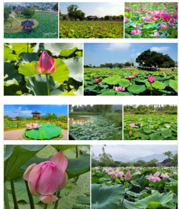 바람아래 사진 1