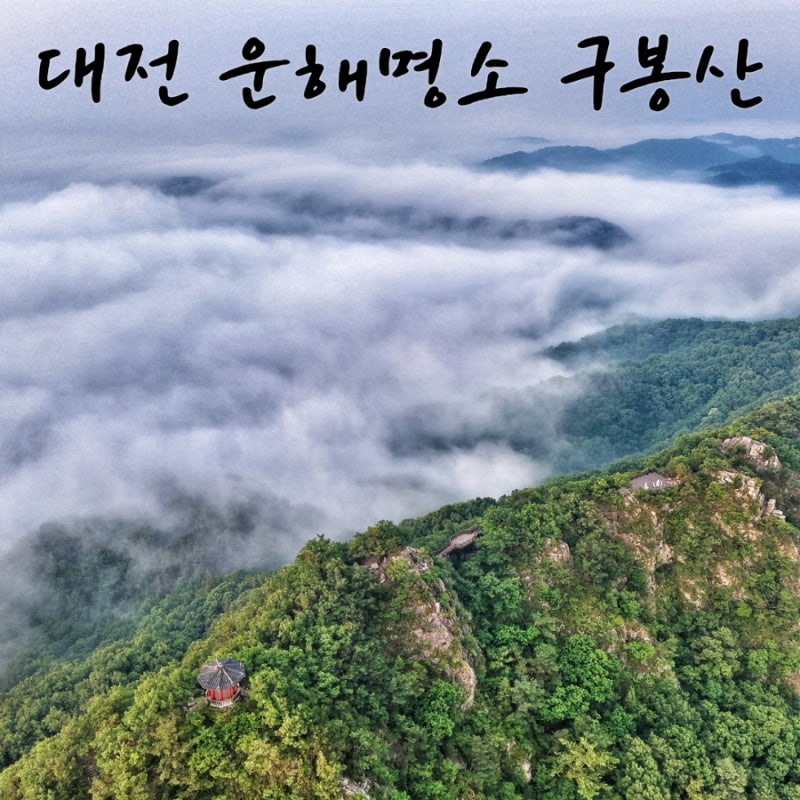 대전 가볼만한곳 운해명소 구봉산
