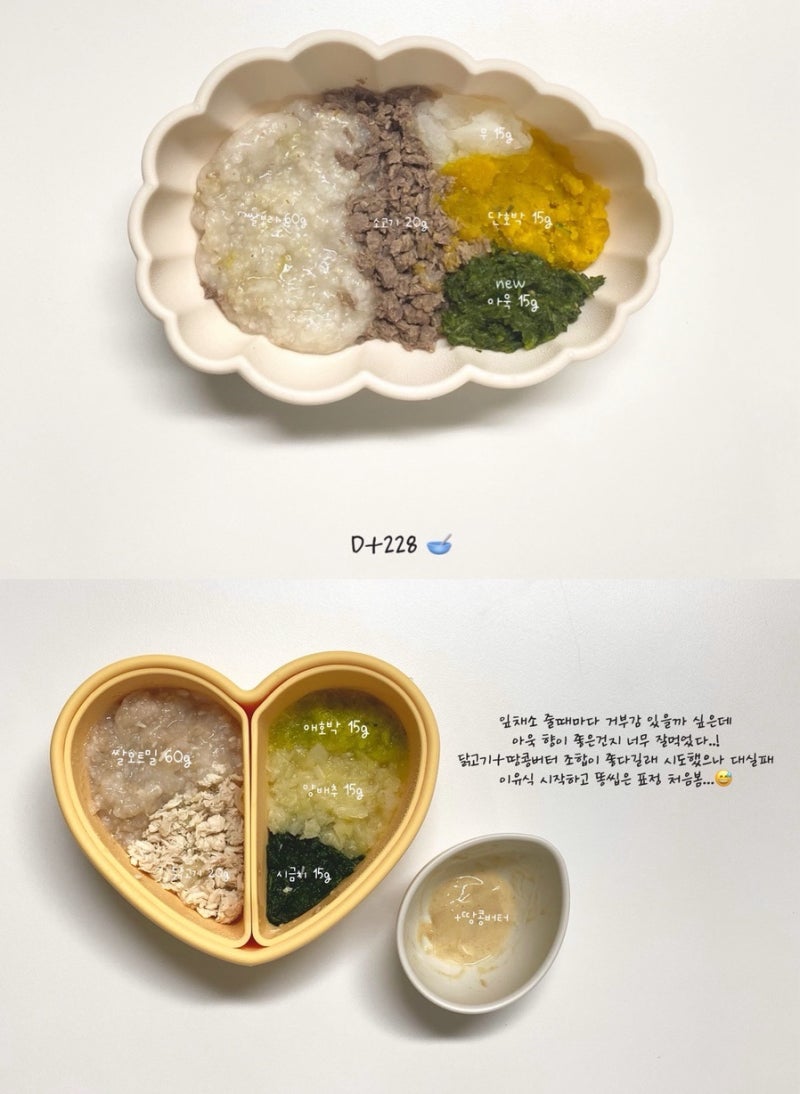 중기토핑이유식 :: D+228 아욱 큐브 만드는 방법 (아욱 풋내 제거하는 법, 아욱 입자감, 식재료 ....