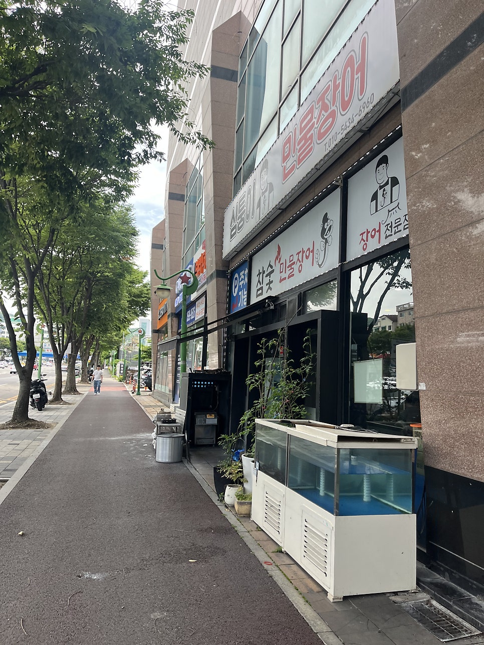 심퉁이민물장어 사진 2