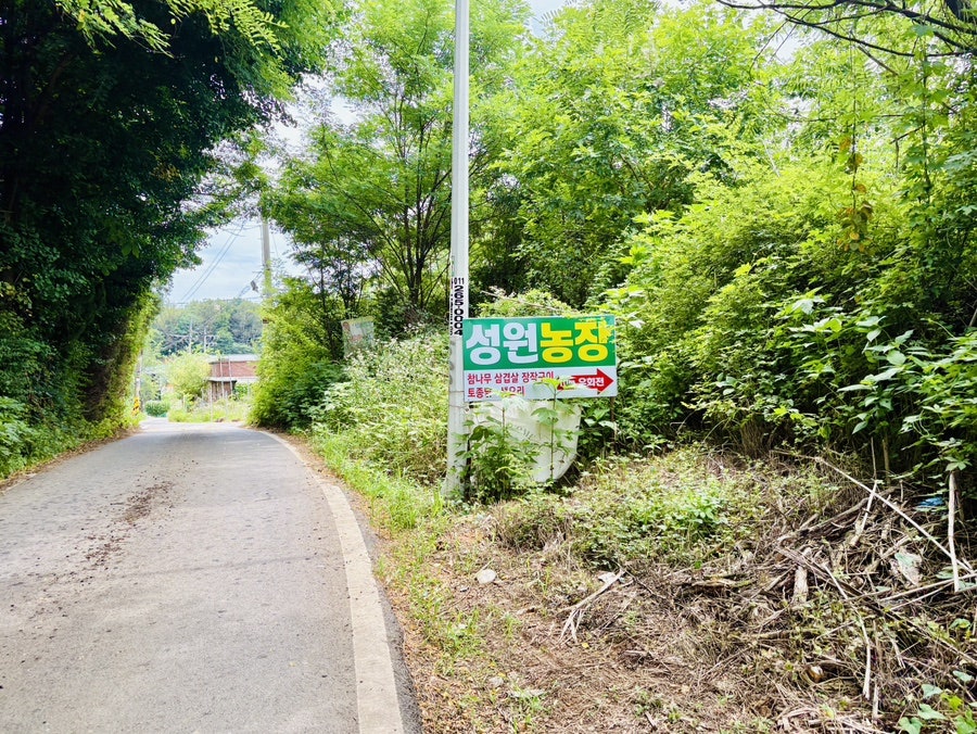성원농장 사진 6