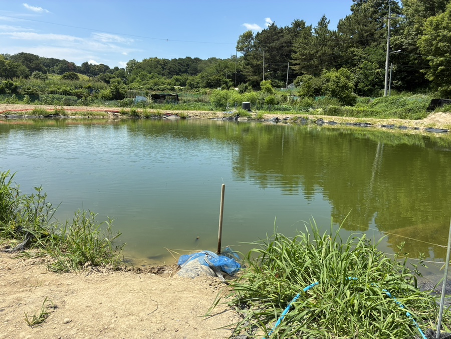 송가네닭발 사진 1