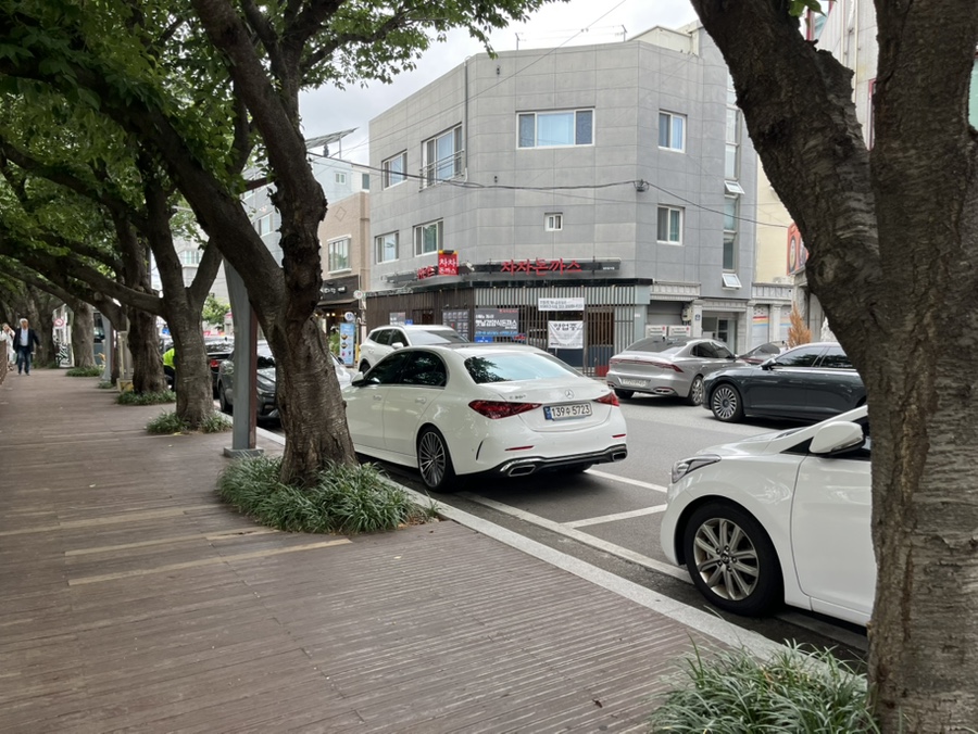 차차돈까스 태화강국가정원점 사진 3