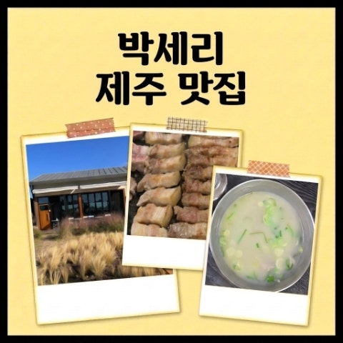 박세리 제주 맛집 추천. 접짝뼈국 화성식당, 베이커리 카페 가는곶 세화, 흑돼지 삼겹살 돈누....