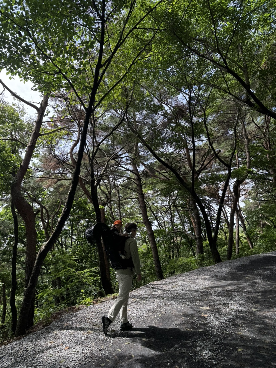 두메산골 사진 2