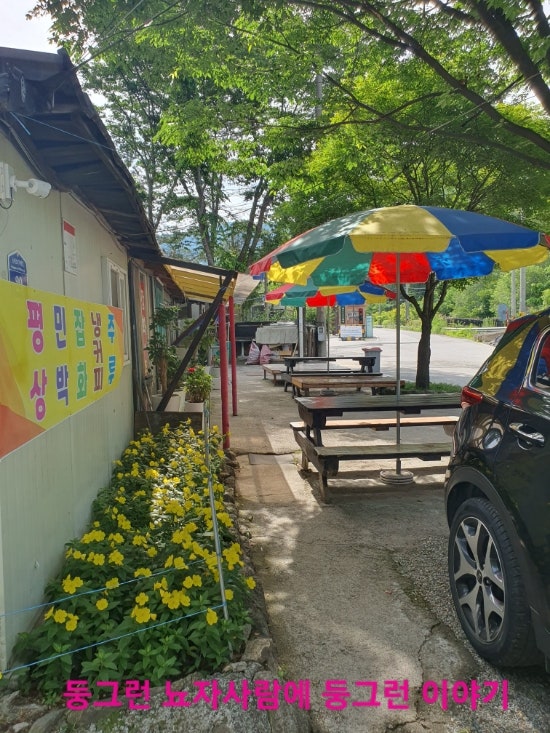 Jijangsanswimteo photo 3