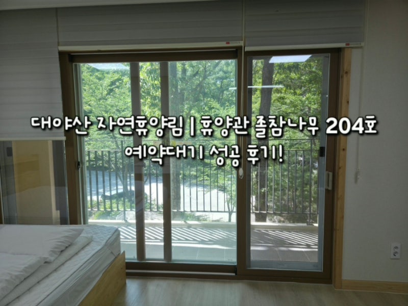 대야산 자연휴양림 졸참나무 204호｜예약대기 성공! 깔끔한 휴양관 솔직 숙박 후기