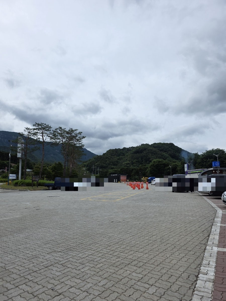 무에르 사진 2
