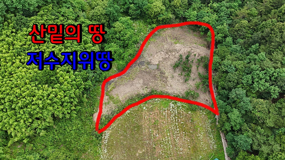 직지저수지 사진 3