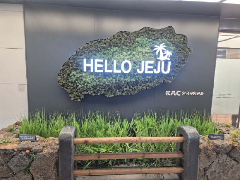[제주도 가족여행]1일차- 제주항공, 보고타/좋은 렌터카, 협재 칼국수, 오션호 수산 테이크아....