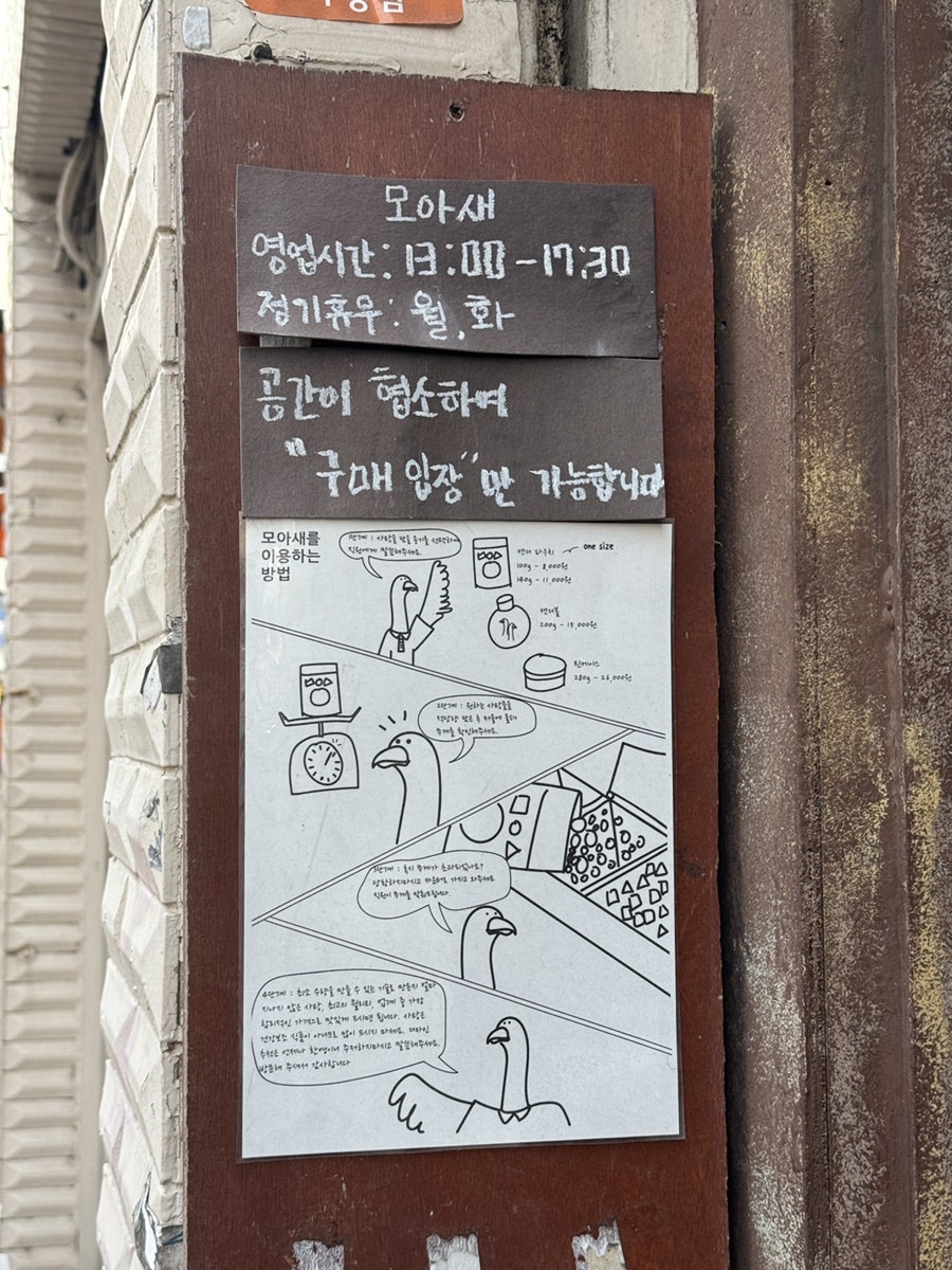모아새 사진 2