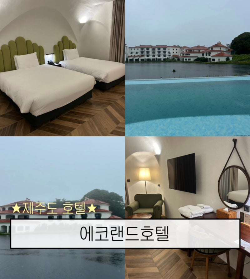 제주도 여행 수영장 있는 가성비 3인 숙소 추천 숲속 유럽풍 느낌 가득한 에코랜드 호텔