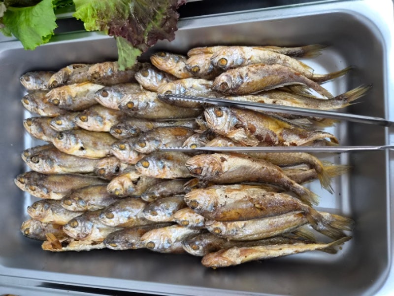 군산맛집 - 섬마을 한식뷔페 | 군산 한식뷔페, 미룡동 맛집