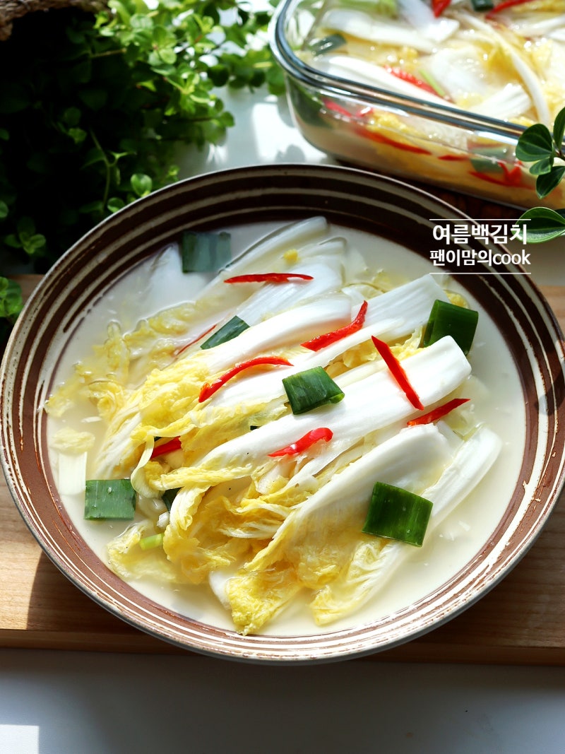 여름 백김치 담그는 방법 배추 백김치 담그는법